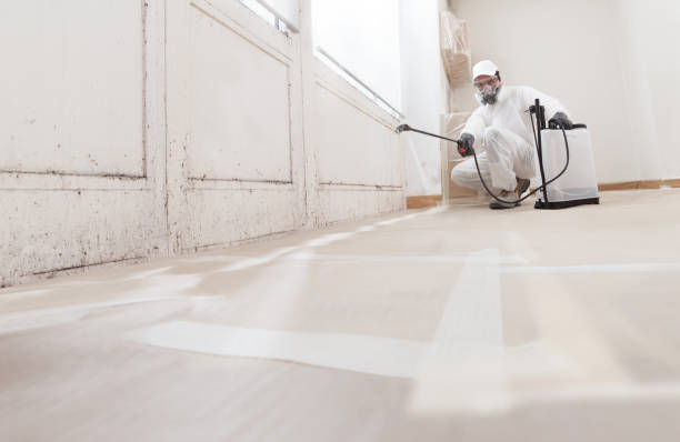 24/7 Emergency Black Mold Remediation experts in Maplewood, NJ