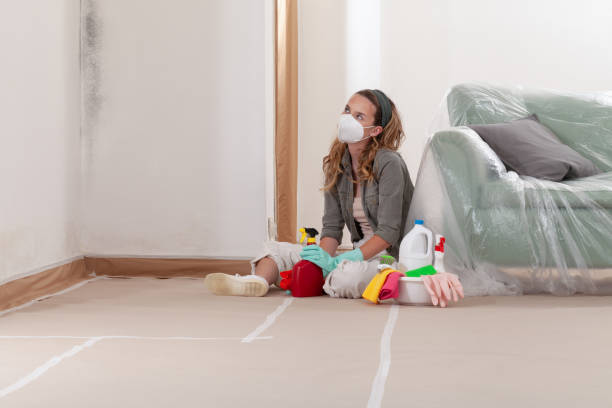 Reliable Black Mold Remediation contractor in Maplewood, NJ by 24 Hour Mold Removal